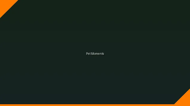 萌宠时刻主题赛 - 亚娱体育网址 UGC视频竞赛